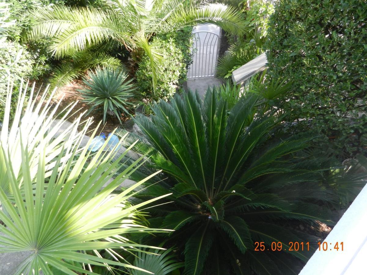 Apartments Sino More Tivat Luaran gambar