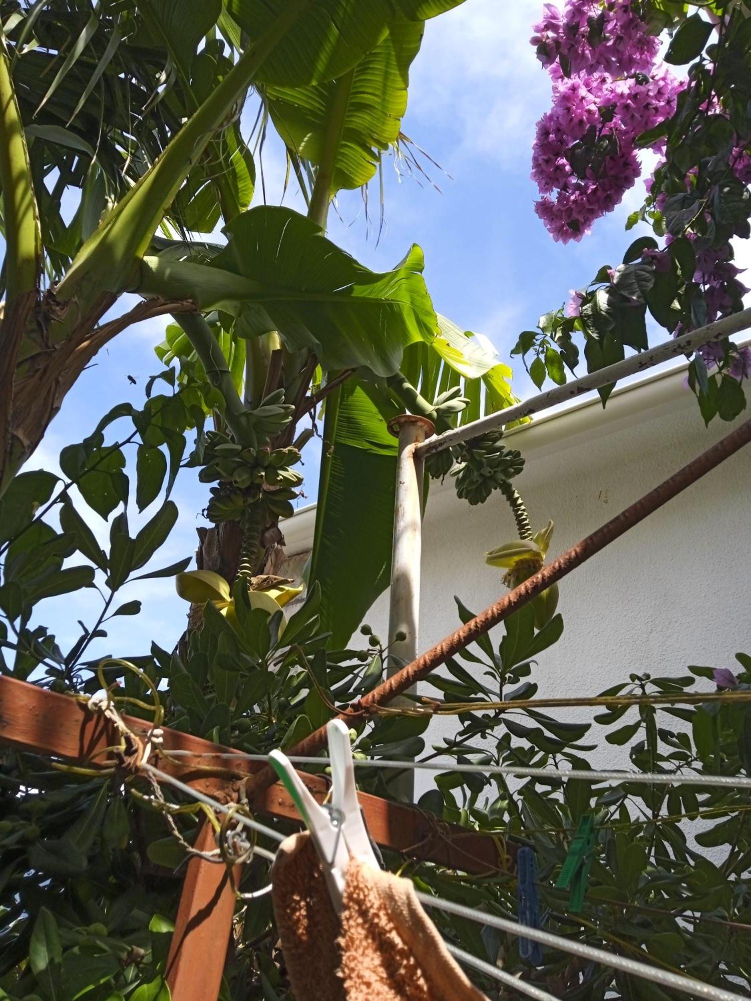 Apartments Sino More Tivat Luaran gambar